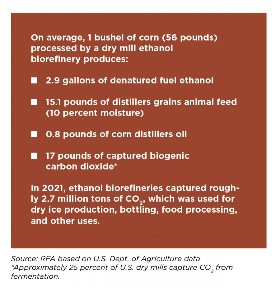 Why is Ethanol Important?